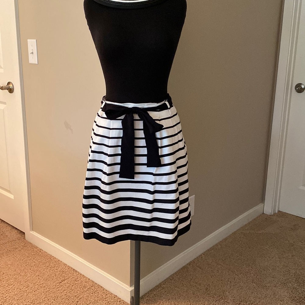WHBM Skirt Size 2